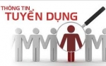 Tuyển dụng chuyên viên phòng kiểm toán năng lượng, nhân viên kinh doanh (hạn nộp hồ sơ trước ngày 31/6/2014)